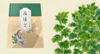 【行業(yè)資訊】國內(nèi)首部艾草專著《南陽艾》，在南陽新書首發(fā)！